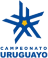 Primera Division