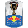 Piala Indonesia (Indonesia)