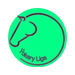 Türkmenistanyn Yokary Ligasy