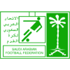 Division 2 (Arab Saudi)