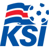 Iceland League Cup C