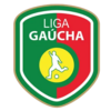 Liga Gaucha