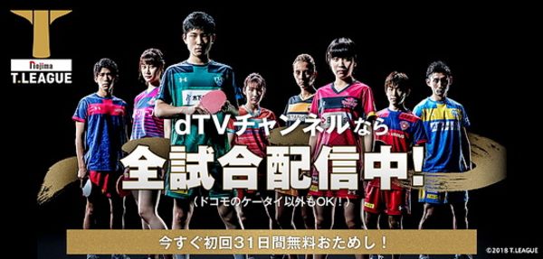 Japan T League