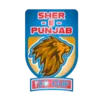 T20 Sher E Punjab Cup
