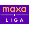 1. Liga