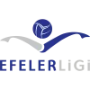 Efeler Ligi