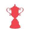 New Zealand Cup
