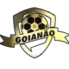 Brazilian Campeonato Goiano (Brasil)