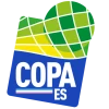 Copa Espirito Santo