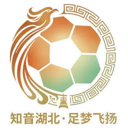 Hubei City Football League