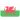 国家队