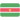 国家队