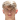 Lion Lauberbach