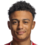 Dan Ndoye