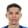 Amine Harit