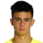 Lorenzo Torriani