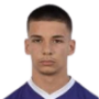 Viktor Radojevic