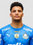 Mateous Oliveira Mendes