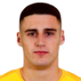 Belmin Dizdarevic