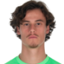Mile Svilar