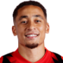 Marcus Tavernier