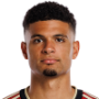 Miles Robinson