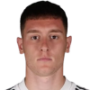Vojin Serafimovic
