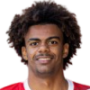Renato Veiga