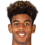 Willem Geubbels