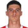 Tiago Gouveia