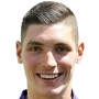 Nikola Milenkovic