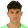 Diogo De Carvalho Pinto