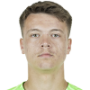 Dzenan Pejcinovic
