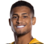 Joao Gomes