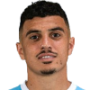 Karim Hafez