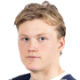 Halidor Stenevik