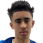 Williams-Barnet, Luca