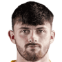 Lee Bonis