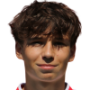 Adrian Fiala