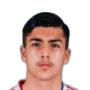 Mathys De Carvalho 
