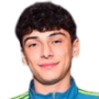 Diego pugno