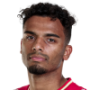 Owen Wijndal