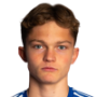Gustav Nyheim