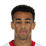 Tyler Adams