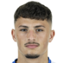 Eldin Dzogovic