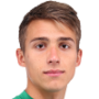 Pavel Pavlyuchenko