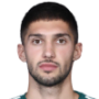 Adam Gnezda Cerin