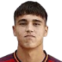 Pau Cubarsi