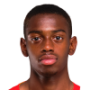 David Pereira Da Costa