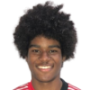dos Santos Ferreira, Lucas